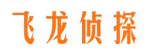 民丰私家调查公司